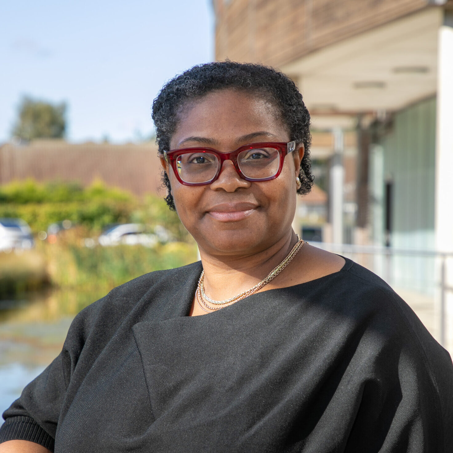 Headshot of Catherine Afolabi-Mulhall, Risk Director for HBSUK