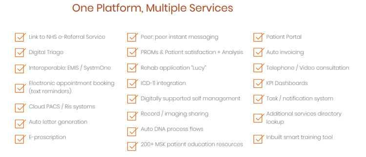 List of Virtual Lucy benefits